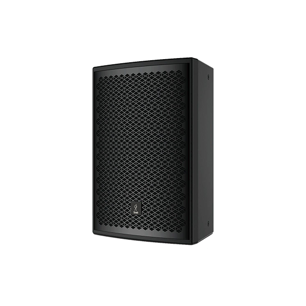 DS-12 Two-way full range speaker