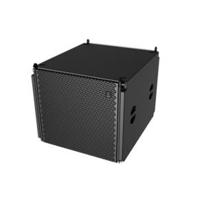DS118FS DS-118FS Super cardioid pointing passive Subwoofer
