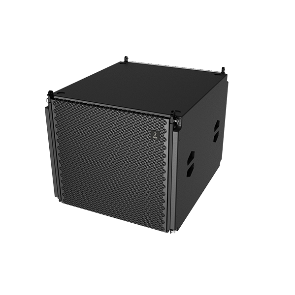 DS118FS DS-118FS Super cardioid pointing passive Subwoofer