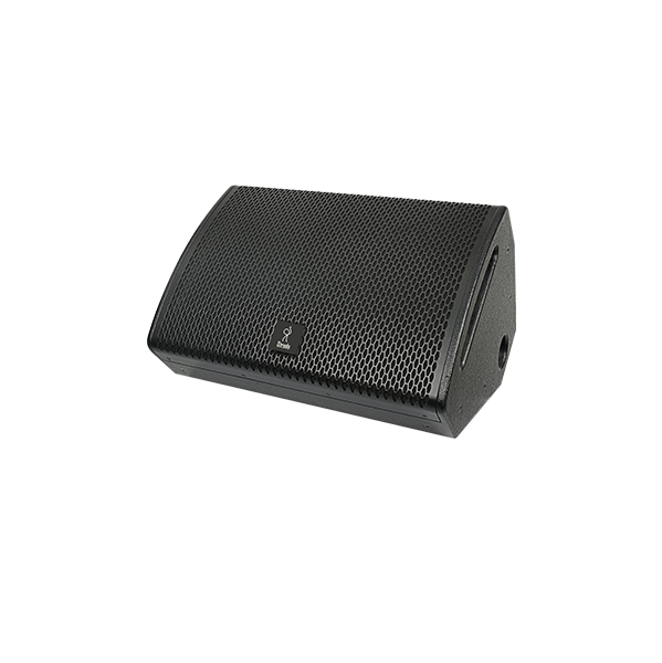 SSM-12P Single 12-inch stage monitor speaker