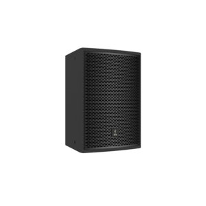 SS10.1 SS-10 Two-way full range speaker