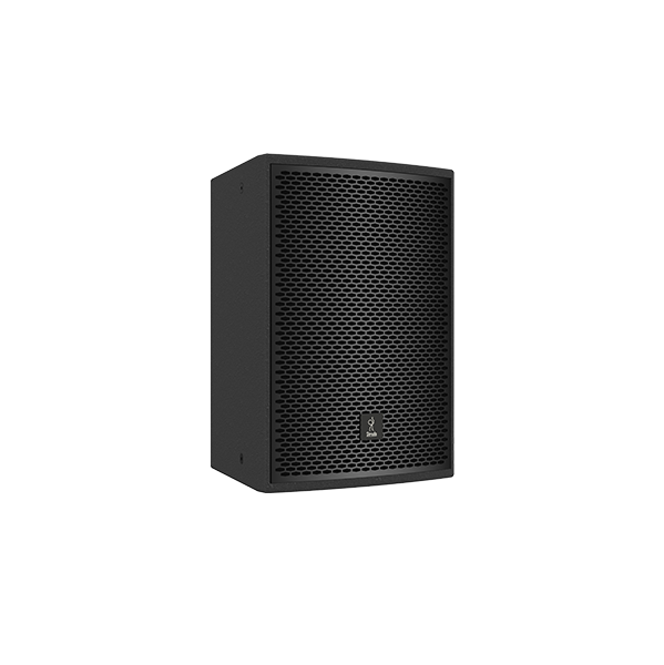 SS10.1 SS-10 Two-way full range speaker