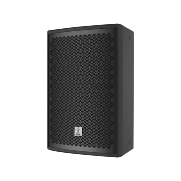 ds 12 DS-12 Two-way full range speaker