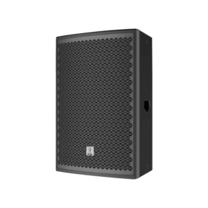ds 15 DS-15 Two-way full range speaker