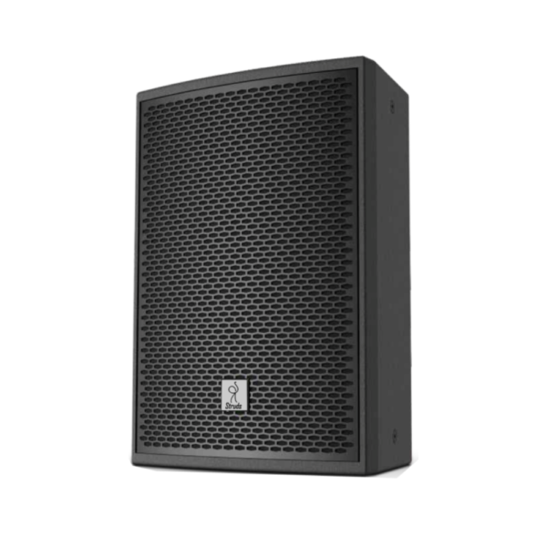 ss-10 SS-10 Two-way full range speaker