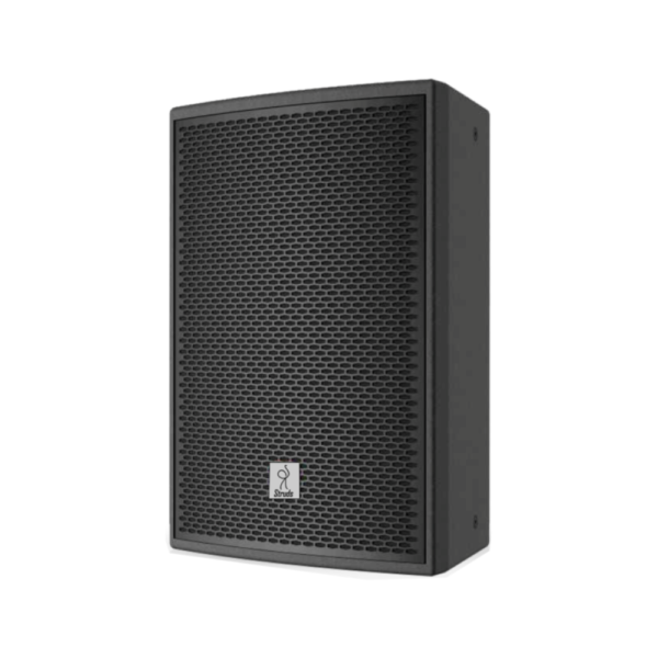 SS-12 Two-way full range speaker