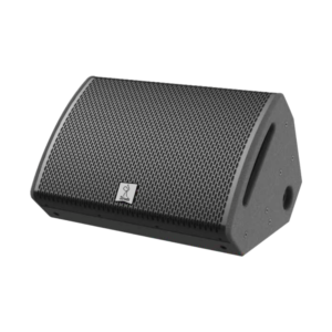 ssm 12p SSM-12P Single 12-inch stage monitor speaker