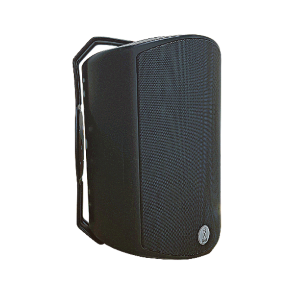wp 40t WP40T Professional Outdoor Installation Speakers