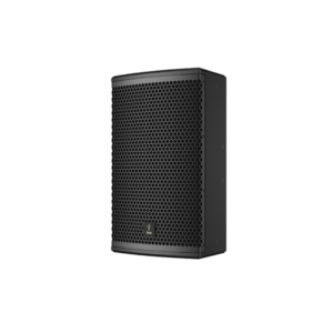 FR-10 Passive Two-Way Full-range loudspeaker